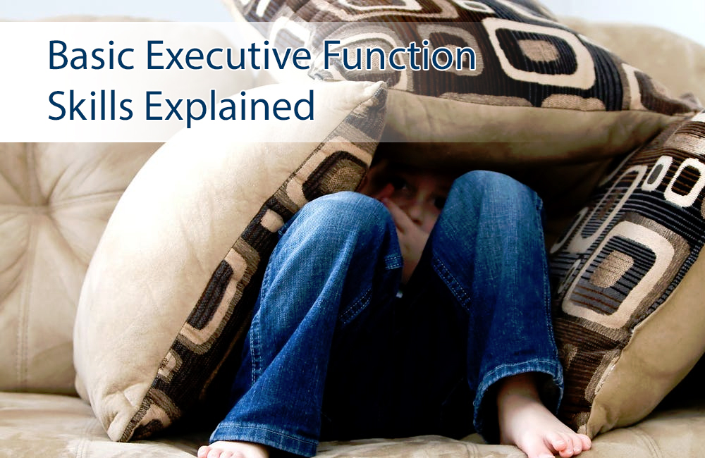 Basic Executive Function Skills Explained